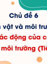 Bài 20. Tác động của con người đến môi trường (Tiết 1)